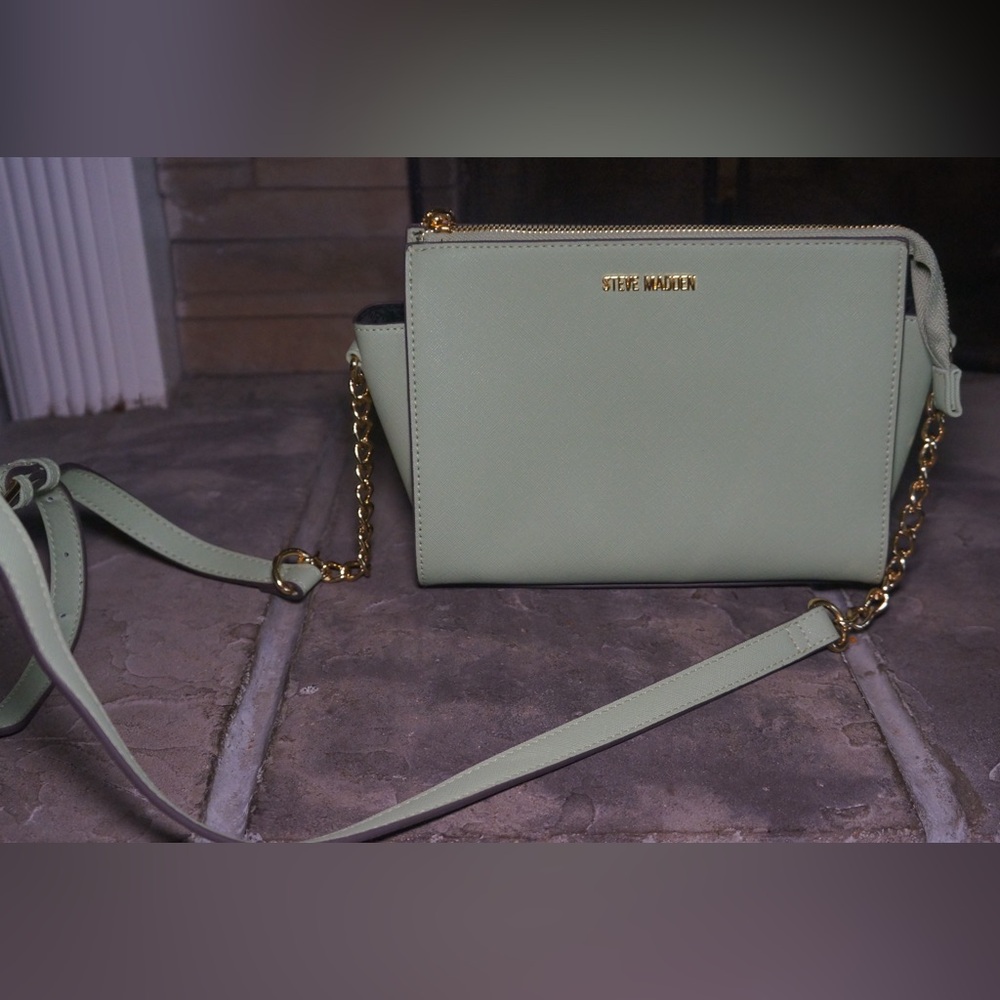 Steve Madden Purse